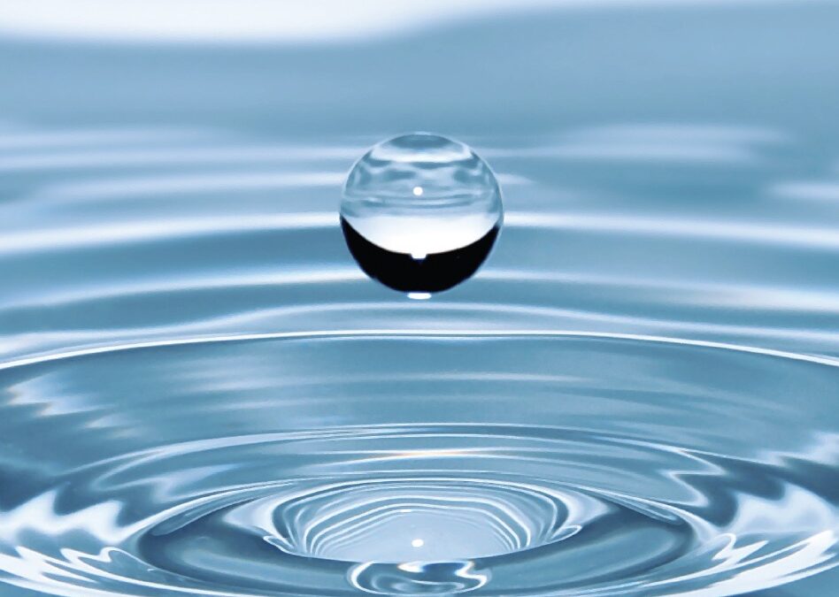 Nya Coachboken är här!